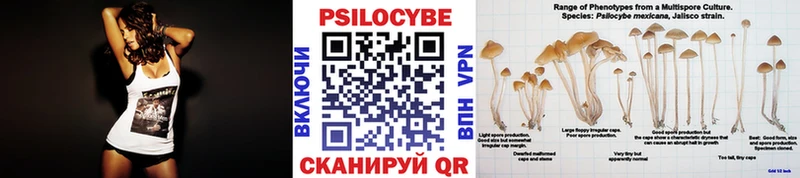 магазин продажи   Навашино  Галлюциногенные грибы мухоморы 